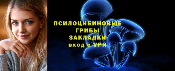 прущий лед Богородск