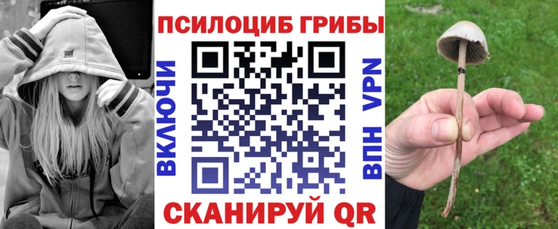 Купить закладки Краснокаменск Псилоцибиновые грибы прущие грибы